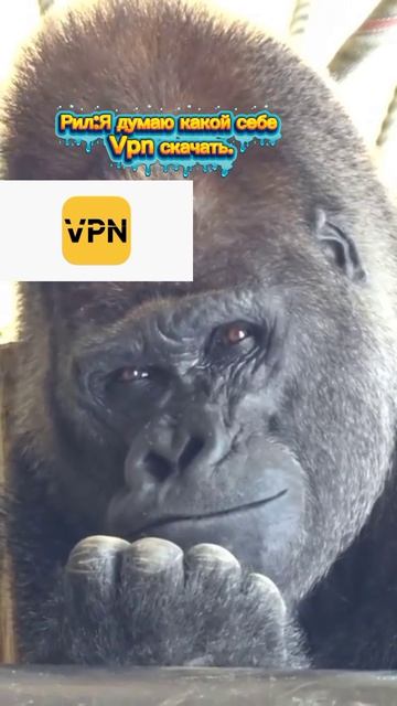 Рил:Я выбираю какой себе VPN скачать для ютуба