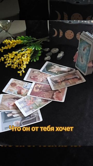 общий расклад, его желания