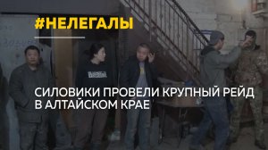 Масштабный рейд против нелегальной миграции прошёл в Алтайском крае