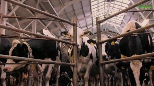 На предприятиях Самары стартуют экскурсионные программы