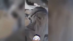 Глупые ситуации на дорогах №2