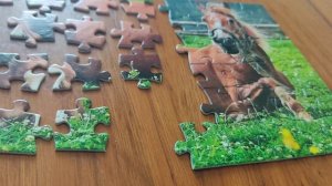 хорошего просмотра