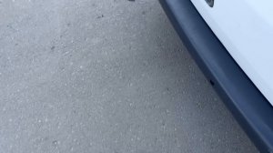 IMG_1835 т5 Белый