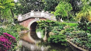 Жизнь в розовом цвете- Шедевр для вашего настроения