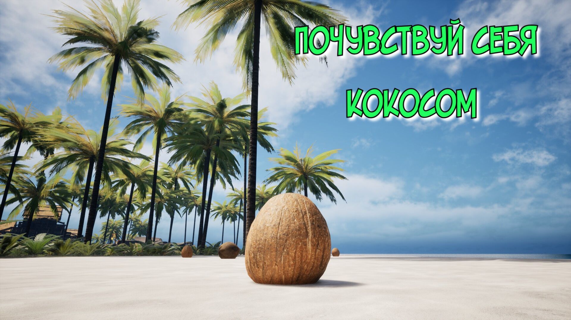 COCONUT SIMULATOR симулятор кокоса