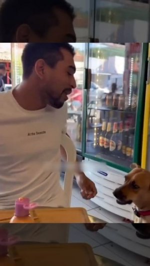 Прекрасные рефлексы