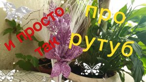 Разговорные видео про рутуб. И просто так
