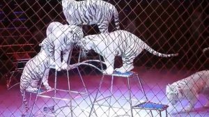 КОМЕДИЯ РОК Сборник клипов - Русский Панк!!!