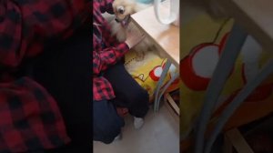 над мной пошутили