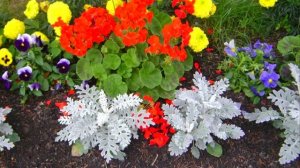 Ваша дача ! (24)