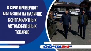 В Сочи проверяют магазины на наличие контрафактных автомобильных товаров
