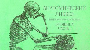 Анатомический ликбез - Пищеварительная система. Брюшина. Часть 1