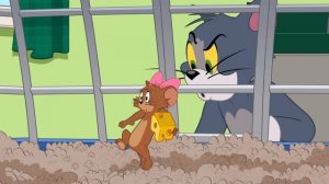 Хомячок Хопла | Том и Джерри | Бумеранг из Дании