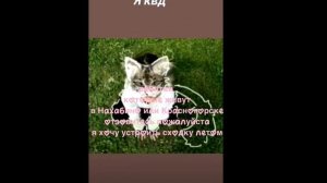 Квадроберы териантропы найдитесь в Нахабино пожалуйста 🙏🏻🙏🏻🙏🏻