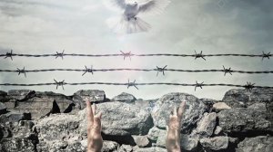 Летите Голуби,Летите💥
Душевный Шансон💣💯