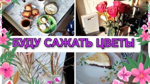 24-03-2026 Готовлю завтрак😋Пошла в бассейн🏊 Купила цветы🌺 Вкусный кекс👍 Обрезала драцену🌴