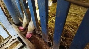 Весна на улице. Рабочие деньки