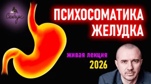 Как решить проблемы с желудком: повышенная кислотность, гастрит, язва. Феноменальная психосоматика