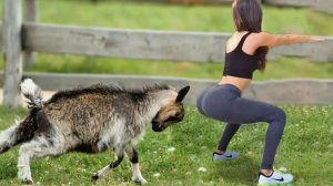 Постарайтесь не Смеяться