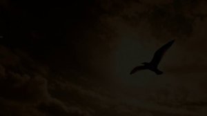 ЗВЁЗДОЧКА МОЯ.