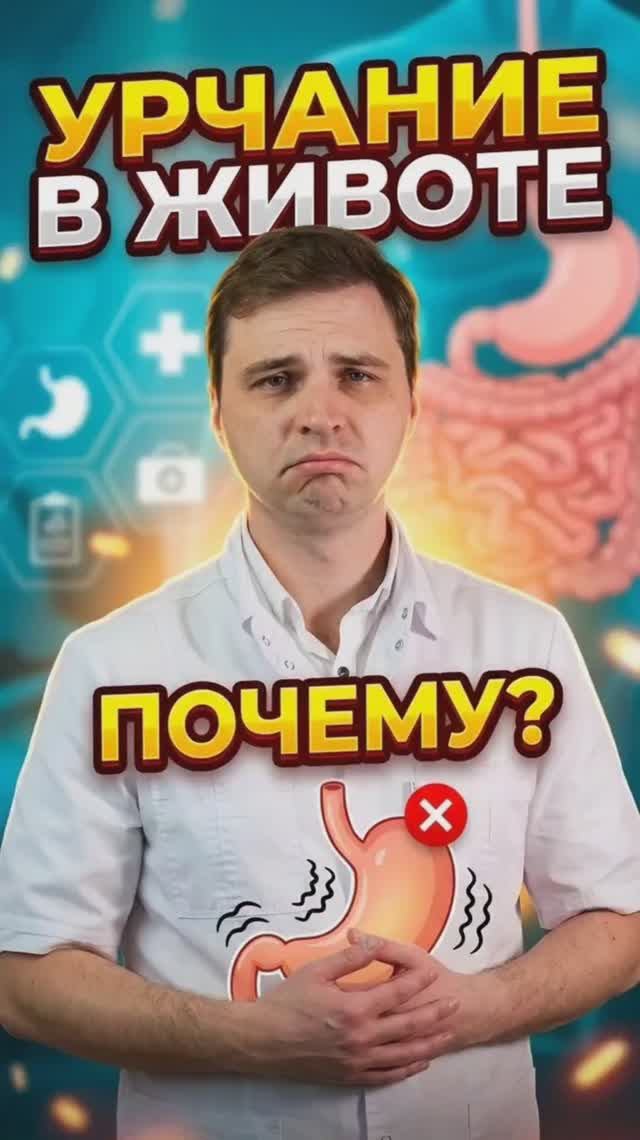 Урчит живот? #кишечник #урчание #звук смотреть онлайн