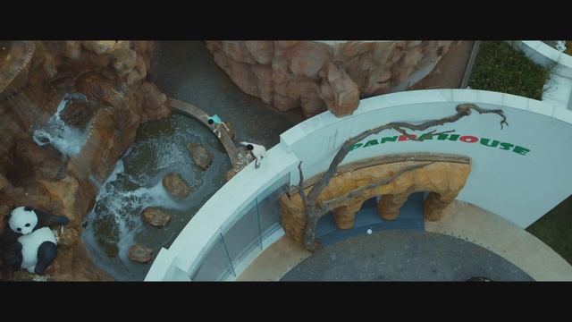 Операция Панда: Джеки и Сю сбегают от наёмников