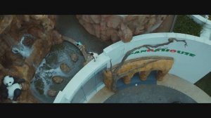 Операция Панда: Джеки и Сю сбегают от наёмников