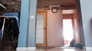 VID_20260324_152554.mp4