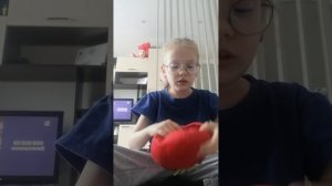 VID_20260324_145409.mp4