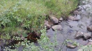 Продолжаем первый выход с палаткой