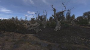 S.T.A.L.K.E.R.  ОП-2.2 Серия 253. Боцман, джойстик Андерсена