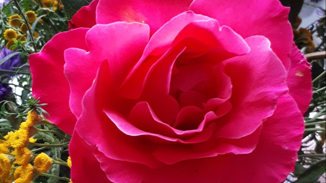 Тепло твоих слов - создано на сайте ТвойХит.рф, СТИХИ Елены Касаткиной.