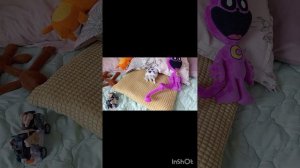 школа радужных друзей: выживание в Чернобыле