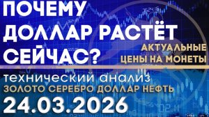 ФРС и ставки: что поддерживает доллар сейчас Анализ рынка золота, серебра, нефти, доллара 24.03.2026
