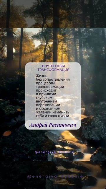Солнечные рекомендации. Очищение. Внутренняя трансформация.  Андрей Реентович #shorts #жизнь