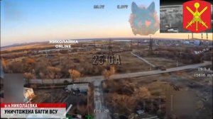 В Николаевке автомобили попадают под удары дронов: моменты атак !!!