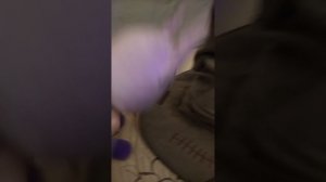 котик учится летать 🐱