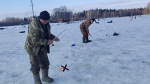 VID_20260324_171016.mp4