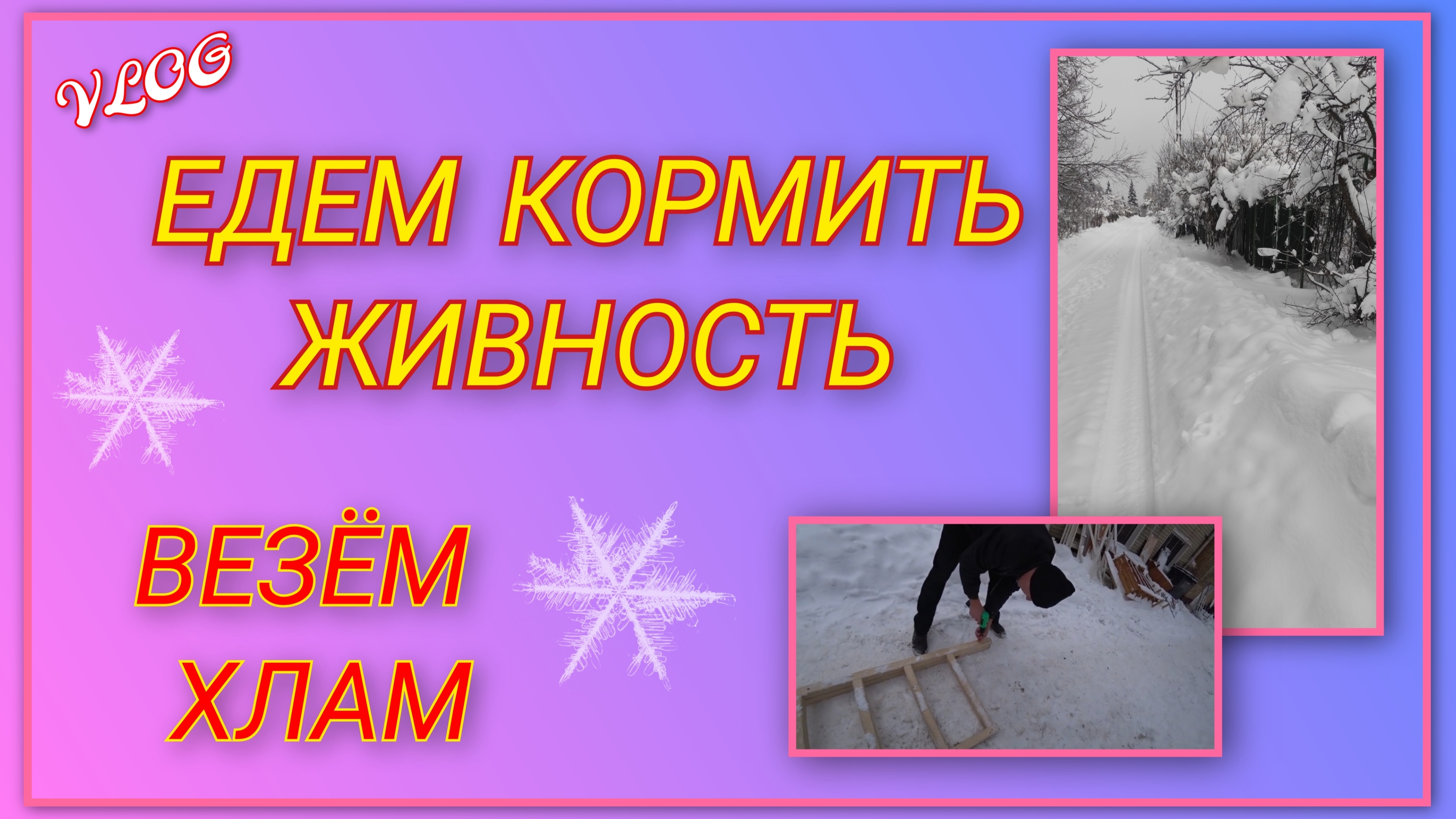 🍒 VLOG: Едем на дачу кормить живность/ Везём с собой ещё немного хлама