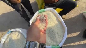 хоразим хазарасп оптим гурунч нархлари