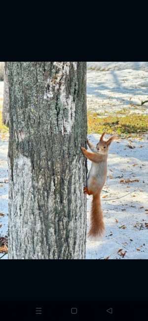Про школу . Полезные советы
