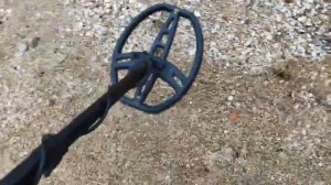 Посадки в огороде. Берег Азовского моря... Сом расширяется👍