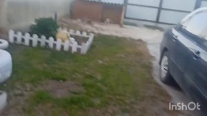 Живём_в_деревне🥰_6_октября_2024г._..._Ершова._Живем_в_деревне.___Дзен_5