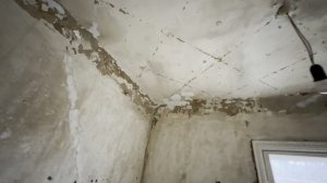 СУХОДОЛЬСК, УЛ. РАХМАНИНОВА, Д. 2А   №478