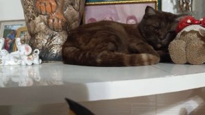 Где хочу там и лежу