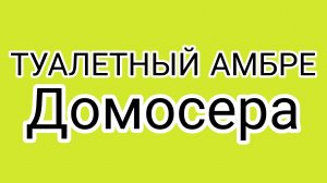 Старый прогульщик! Карма за спиной!