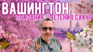 Вашингтон. Прогулка по центру во время праздника цветения сакур.