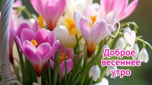 Доброе весеннее утро | Весенние музыкальные открытки с пожеланиями 🤗