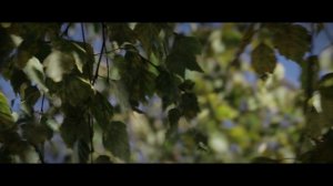 Архитектор Романов