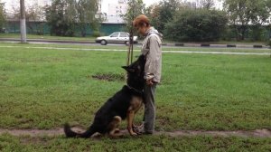 Крашер-переходы.